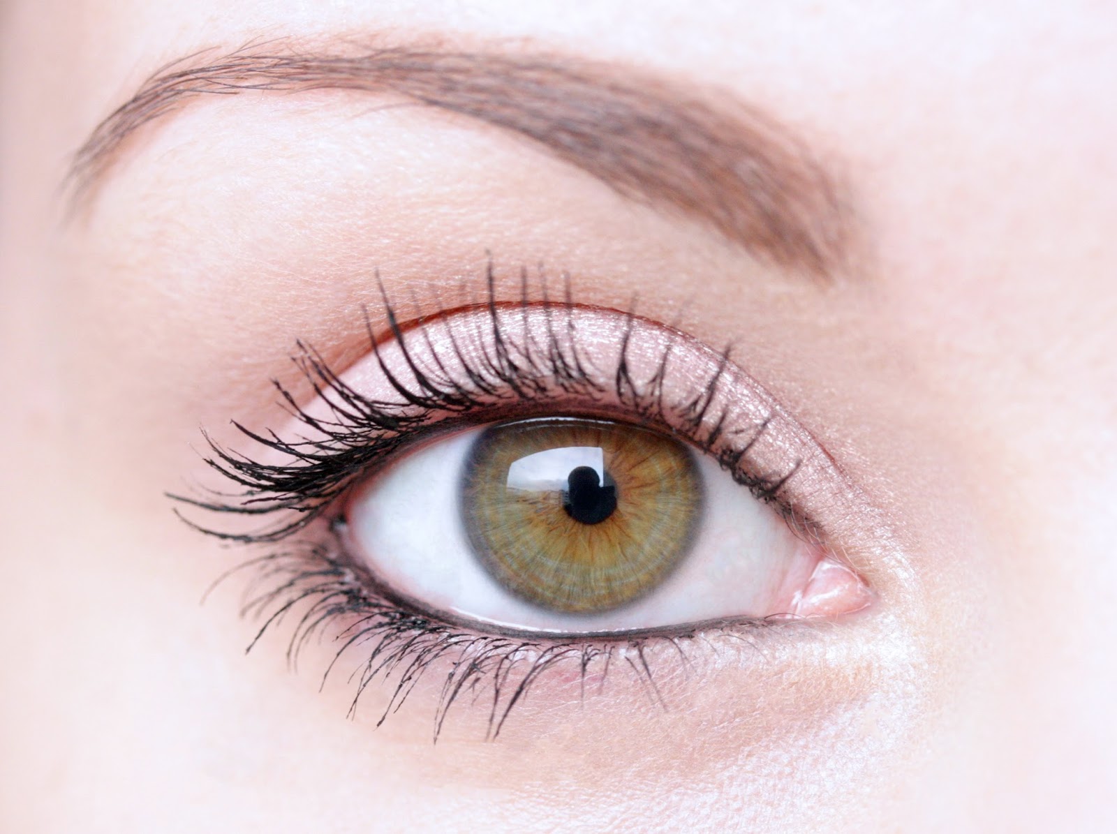 Too Faced Magic Mushroom Eyeshadow / Review and Swatches RosyChicc