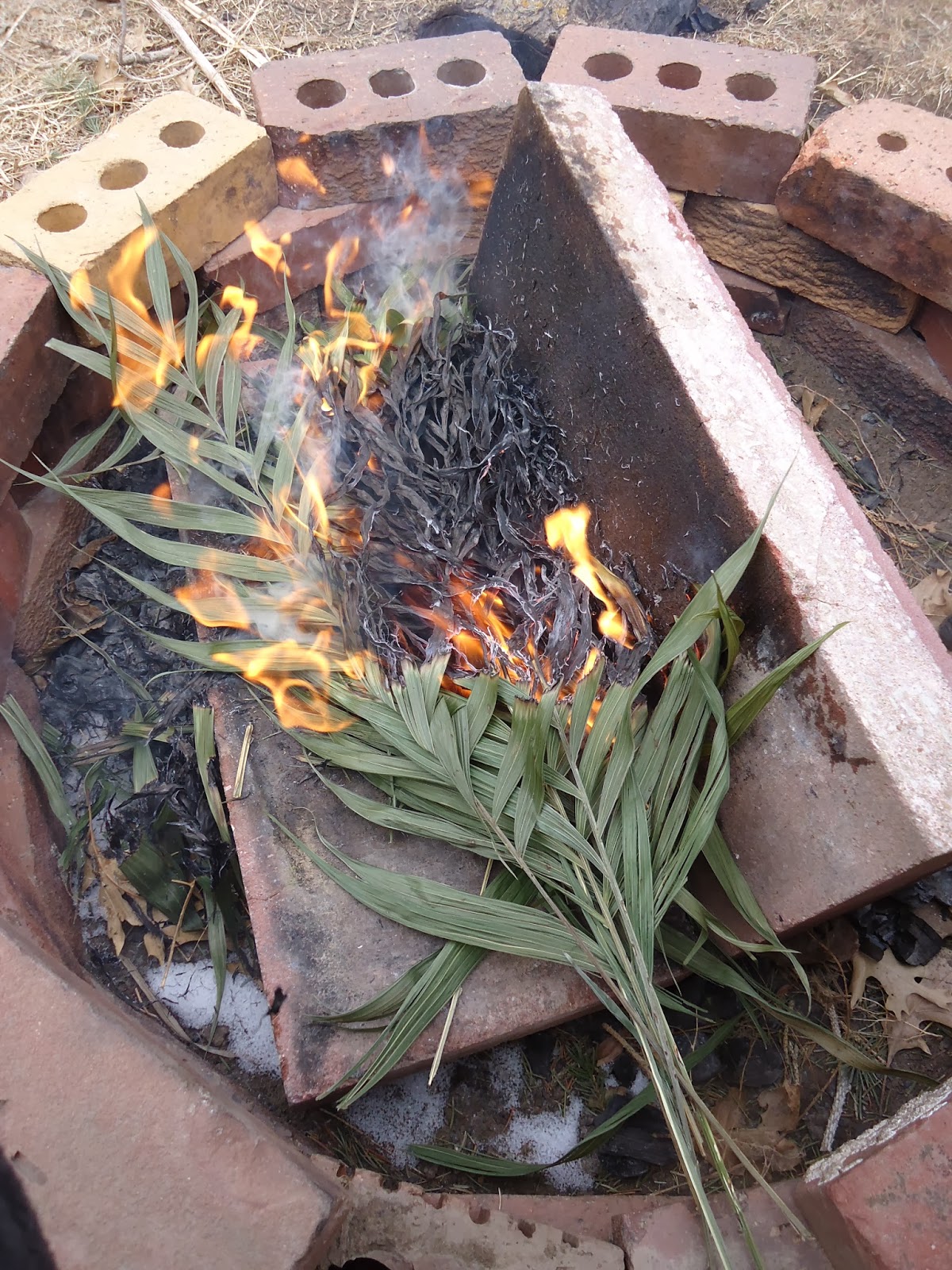 Burning Palm Fronds for Ash Wednesday