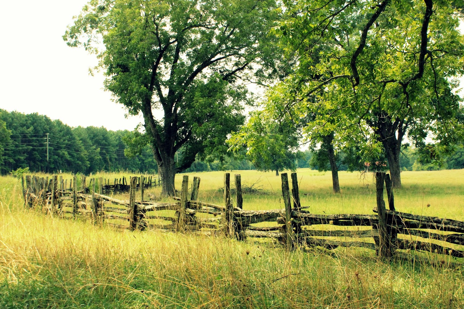 Italian Girl in Rural Road Trip