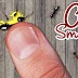 Download Ant Smasher the Best Free Game 