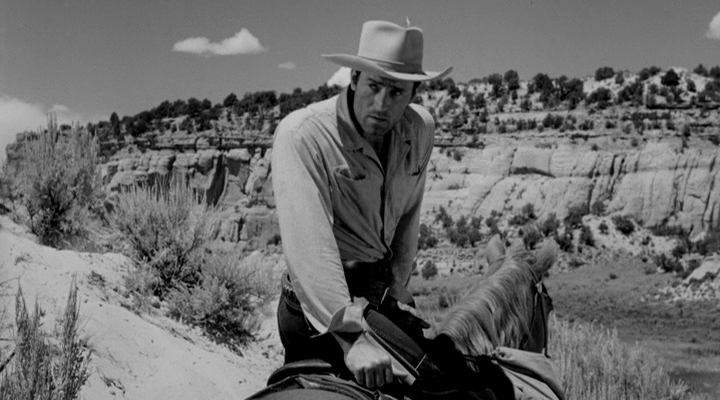 ... recently viewed film with this plotline was APACHE TERRITORY (1958