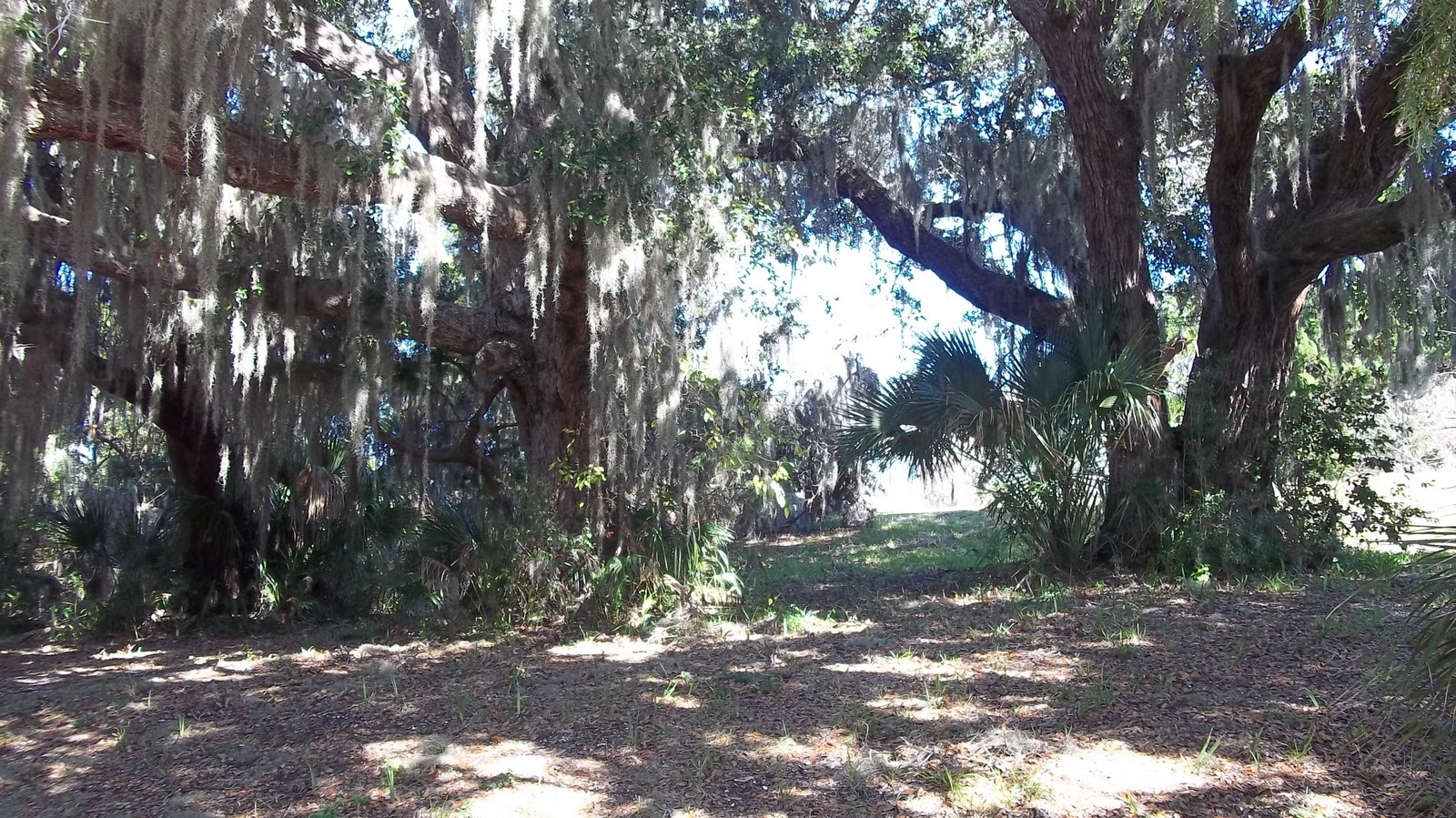 Seminole Hills at Pamela Hansen blog