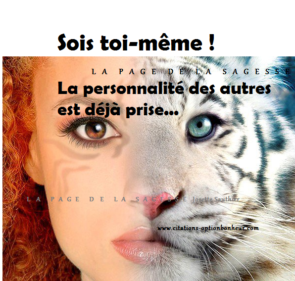 Les Panneaux Roses Citation Sur La Personnalite