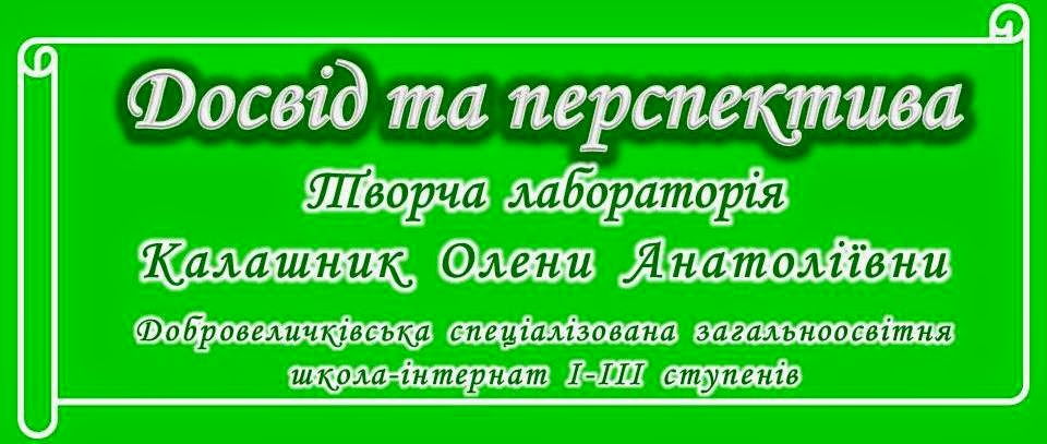 Досвід і перспектива