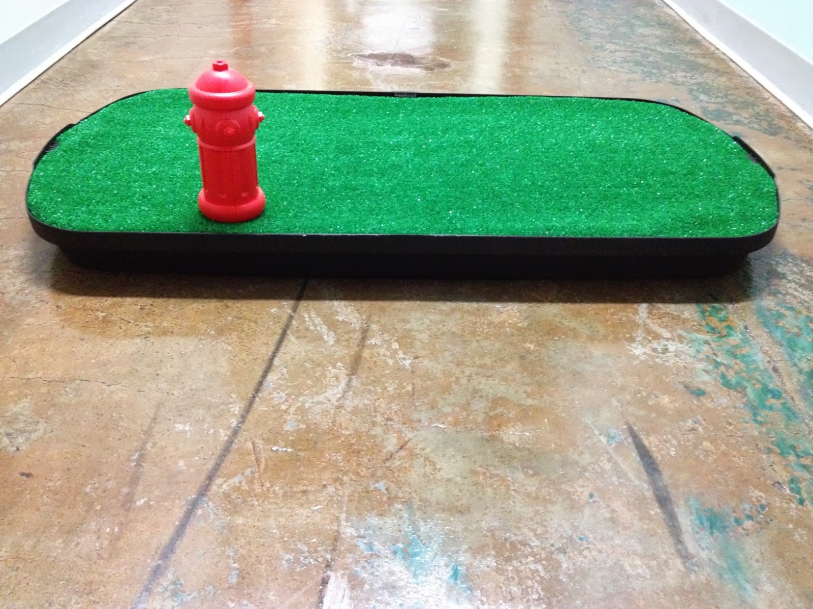The Best Indoor Dog Potty July 2013 2013 07 01 archive