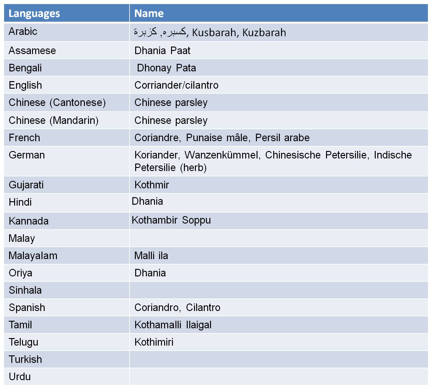 KnowAboutIngredients Coriander Leaves / Cliantro