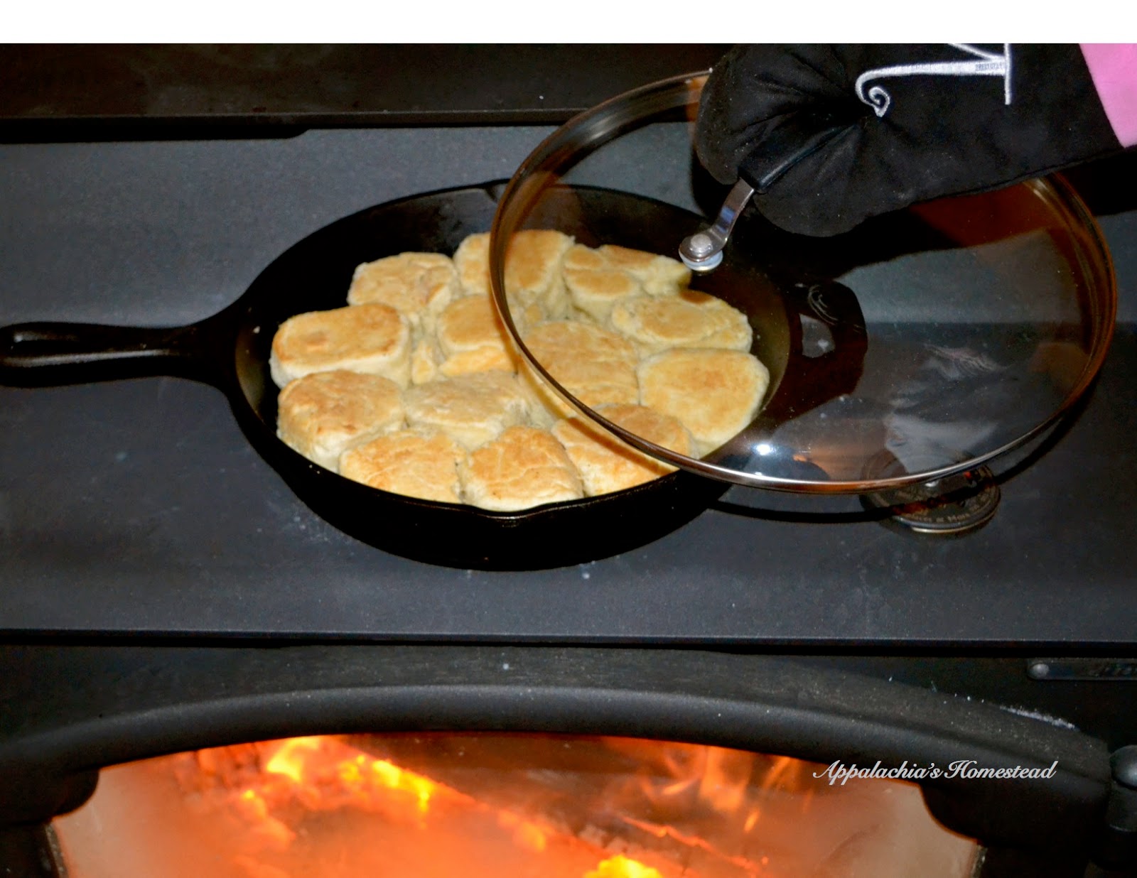Appalachia's Homestead Wood Stove Biscuits