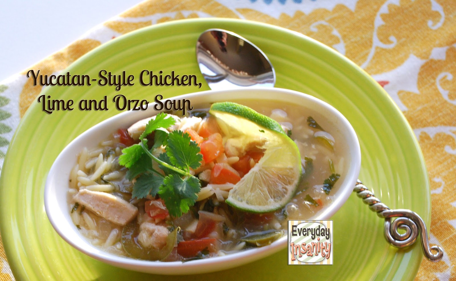 Everyday Insanity... YucatanStyle Chicken, Lime and Orzo Soup