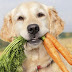 Αρέσουν στο σκύλο τα ωμά καρότα ;..