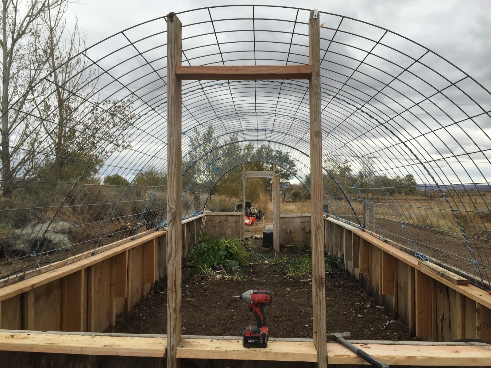 Nevada Kids: Do it Yourself Hoop house with hog panels and pallets