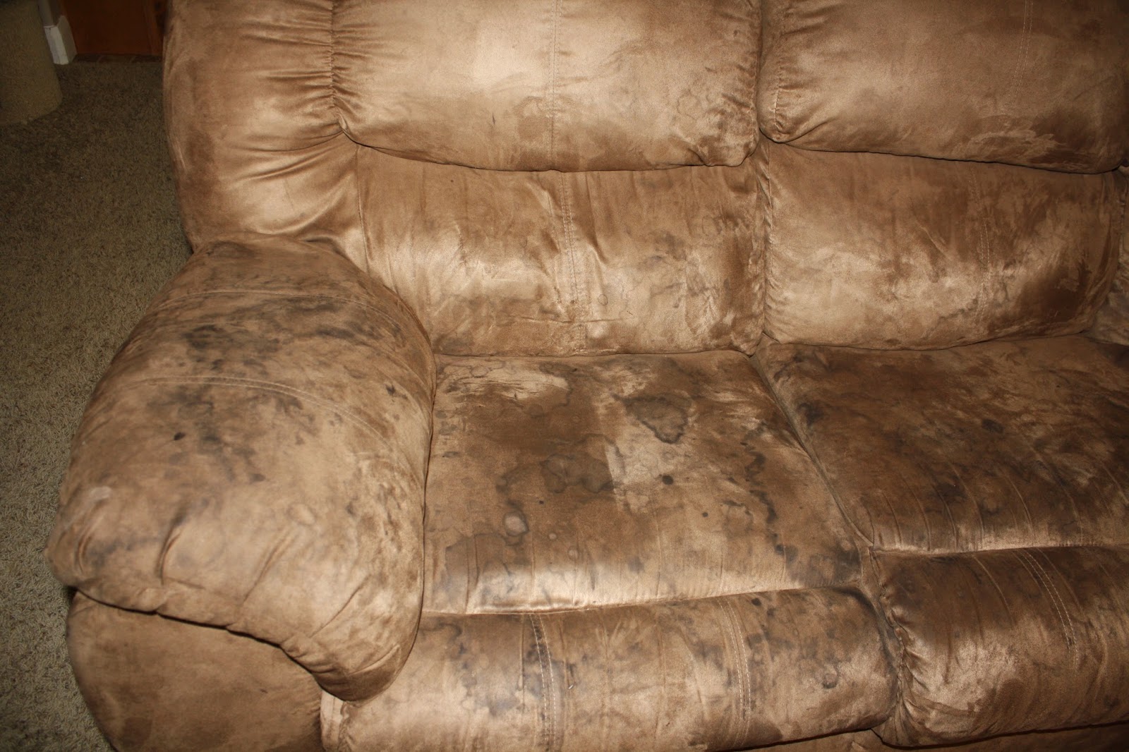 Tada's Kooky Kitchen: How to: Clean Microfiber Couches AND get the water  spots out too!!