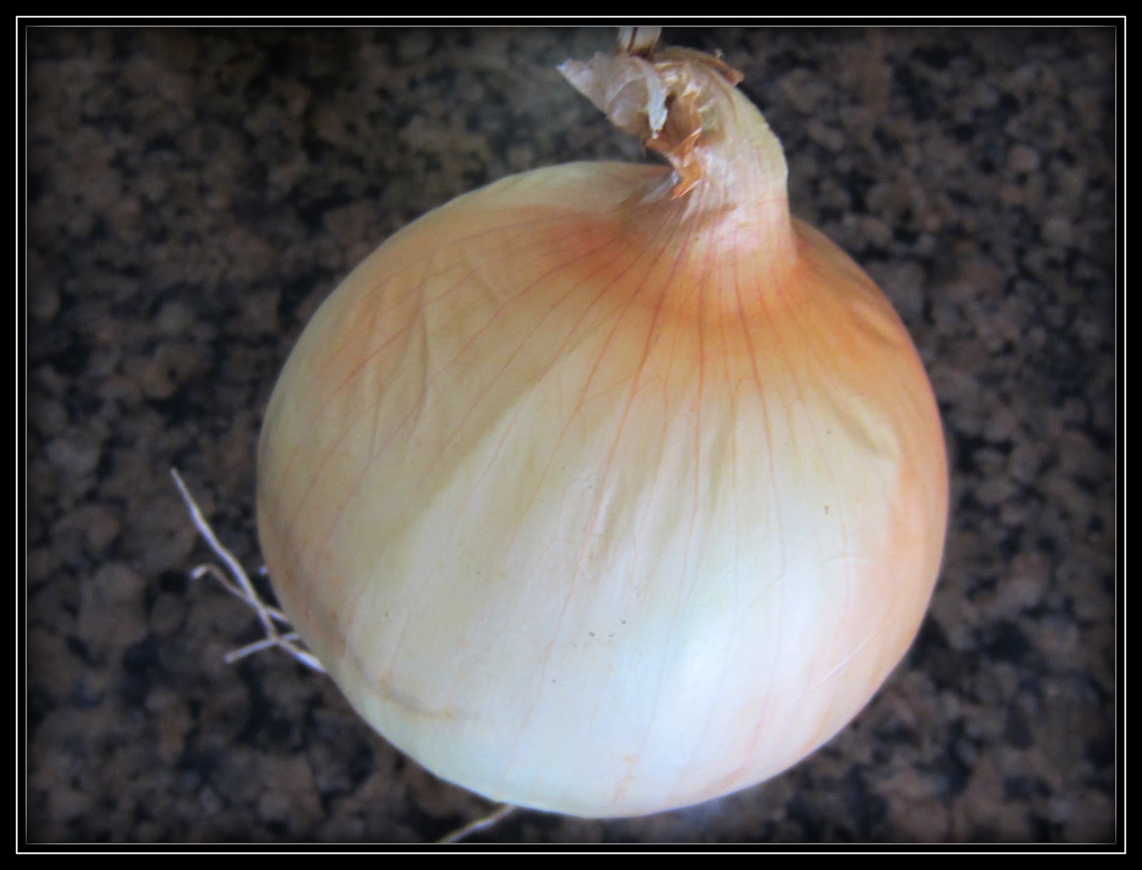 Simply Projects Storing Garden Onions
