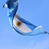 Argentina impulsará integración productiva con México