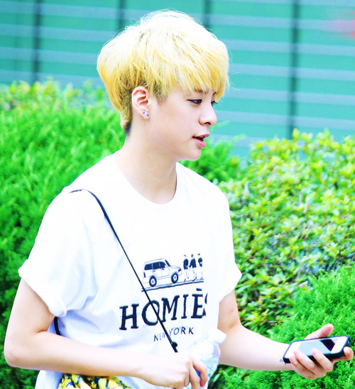 WAFFLE FOR BATTLE Amber