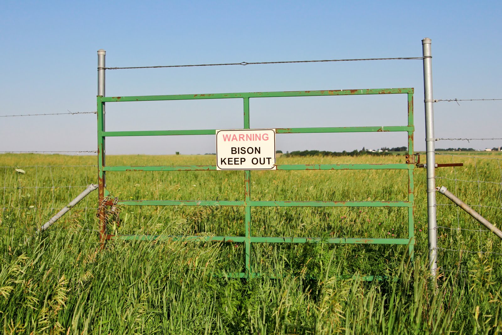 Along for the Ride Camping at Blue Mounds State Park