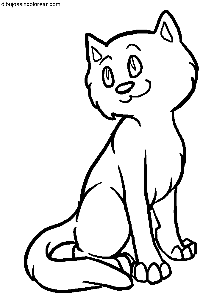 Dibujos Para Colorear Gatos