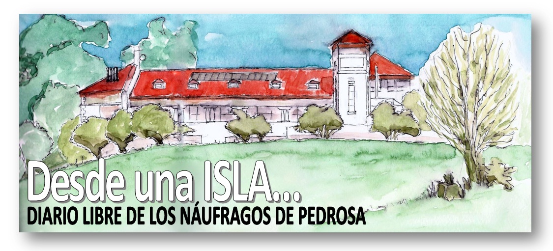 DESDE UNA ISLA... Diario libre de los naúfragos de Pedrosa