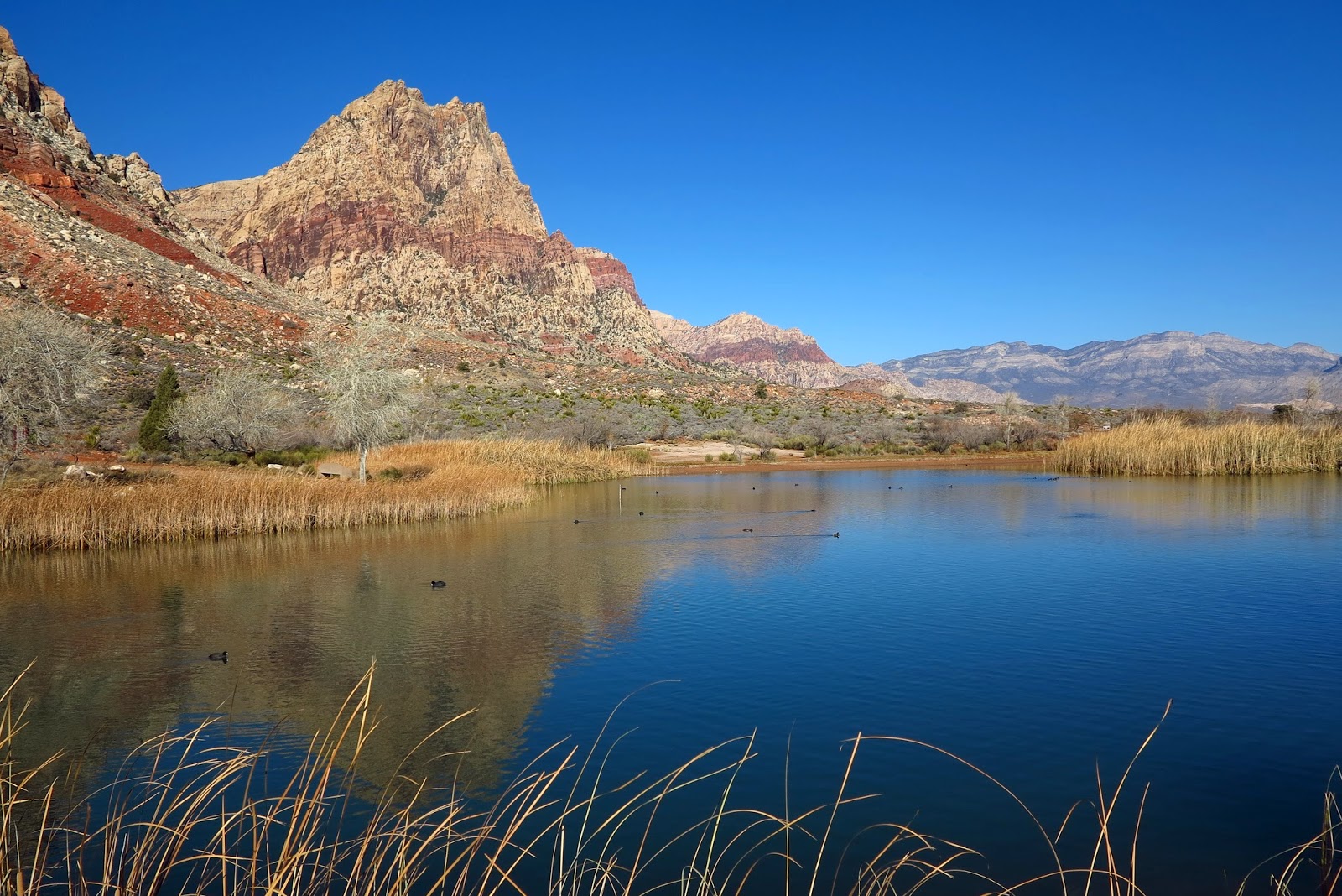 Around the Bend Friends ® Sandstone Canyon Spring Mountain Ranch