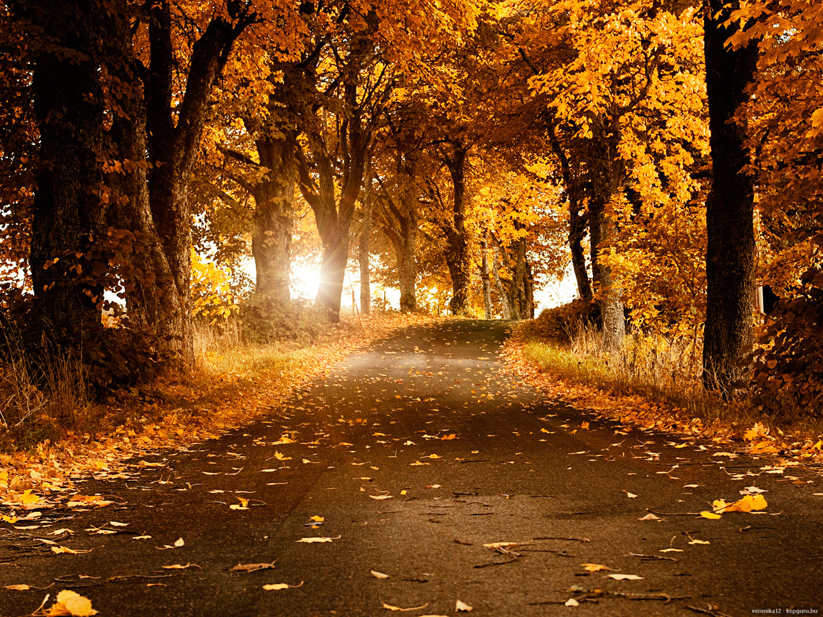 http://1.bp.blogspot.com/-GtUBg2P5Qt8/TqD11-b94UI/AAAAAAAAAoo/Rbqx9TlSQ_0/s1600/132426.jpg