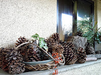 庭園美術館の大きな松ぼっくり。