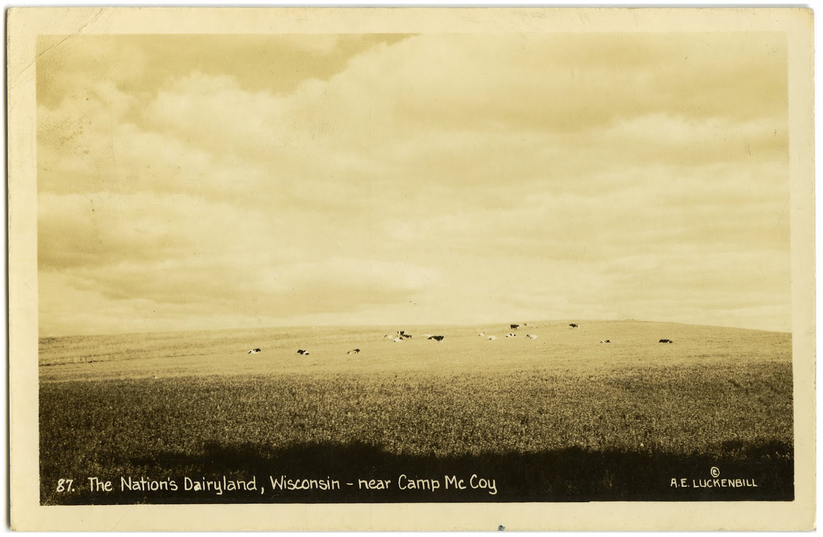 The Wisconsin Project September 2012