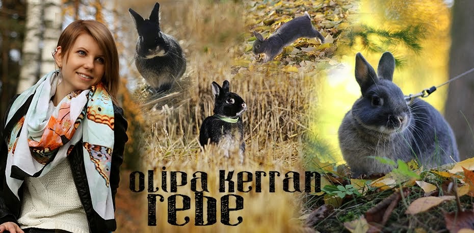 olipa kerran rebe