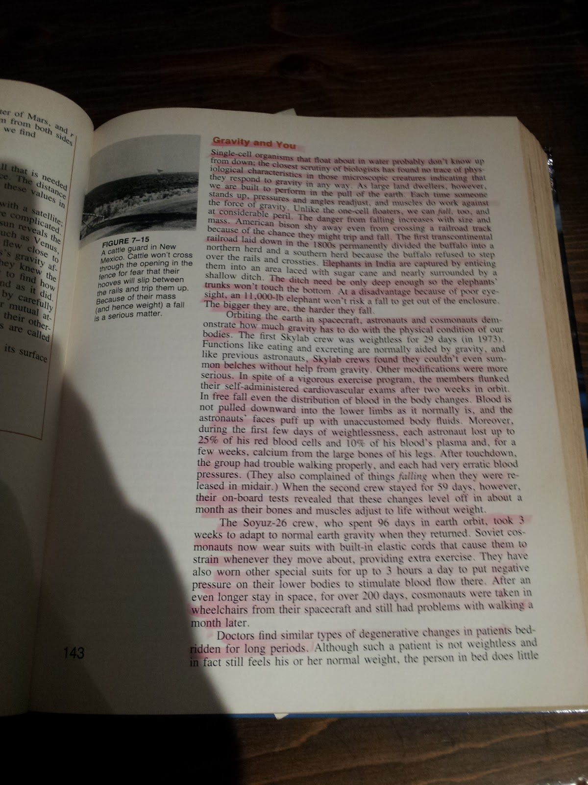 Ebooks as Textbooks Part 2 Highlighting