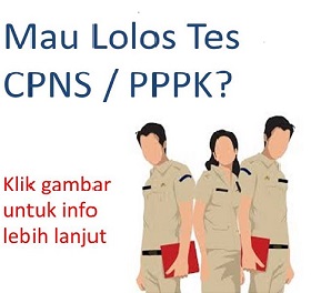 Ingin Lolos CPNS / PPPK dengan lancar?