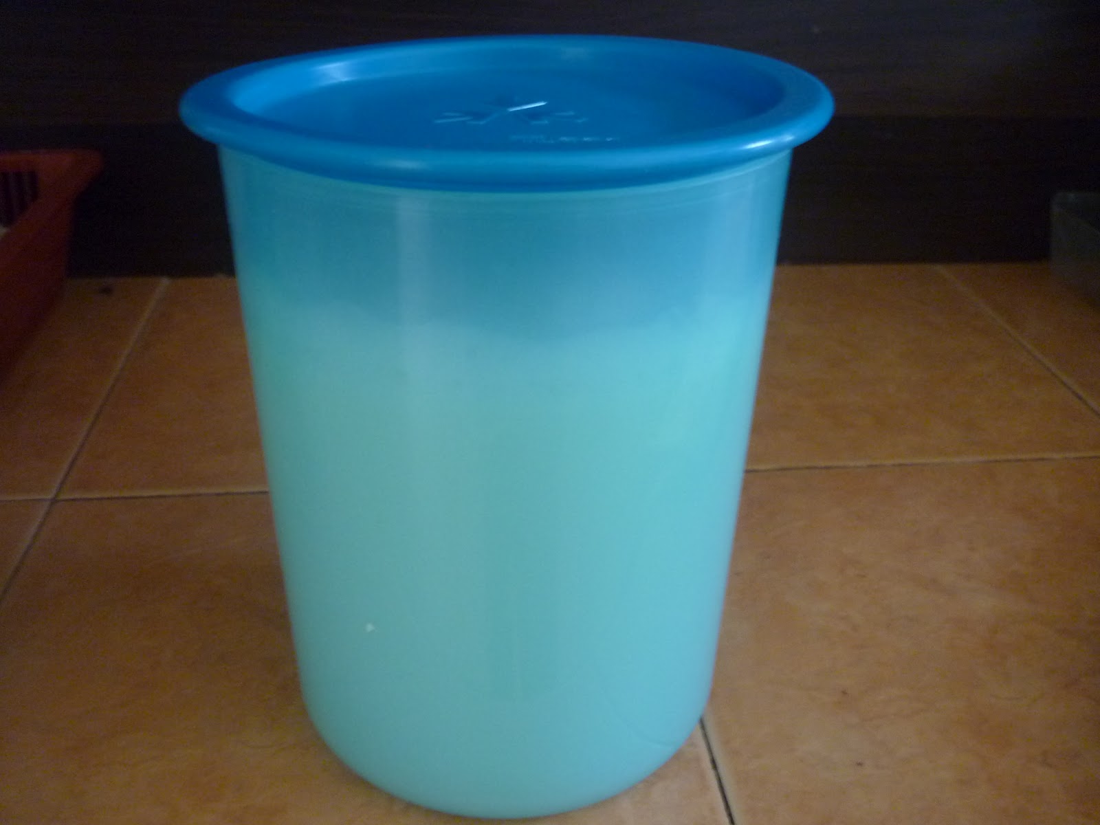 The Road Not Taken How to make Yogurt! (using the ricecooker)