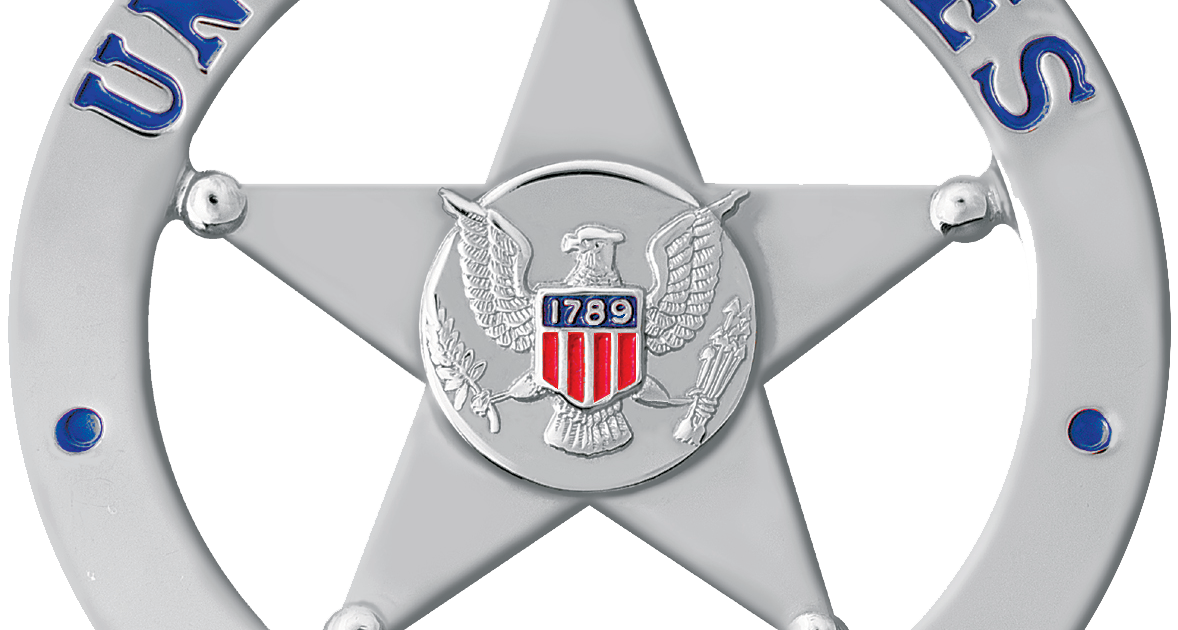 Homeless Veteran Of Microsoft: Silver star.