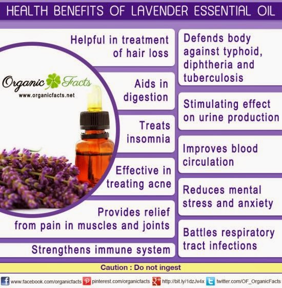 For the Love of Lavender