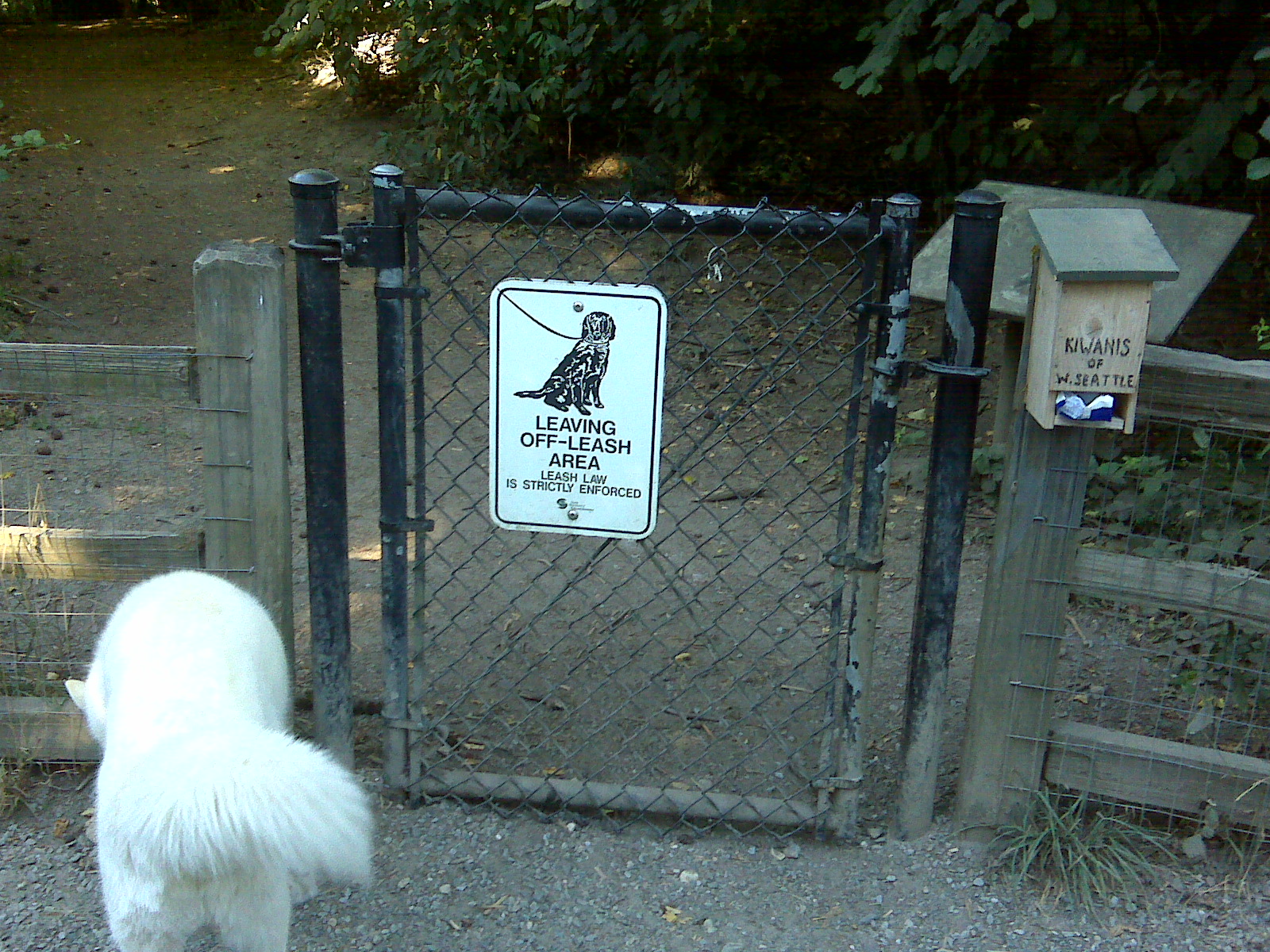 Westcrest Dog Park Seattle Dogg Blogg