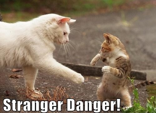 stranger+danger7.jpg