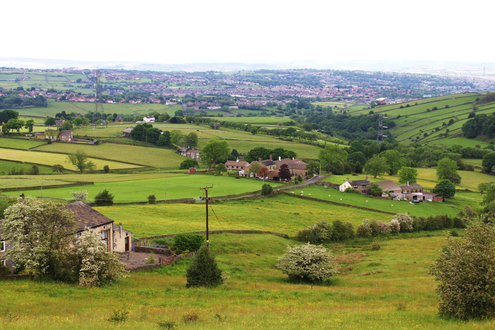 Yes Manchester Japanese Food 6月 12
