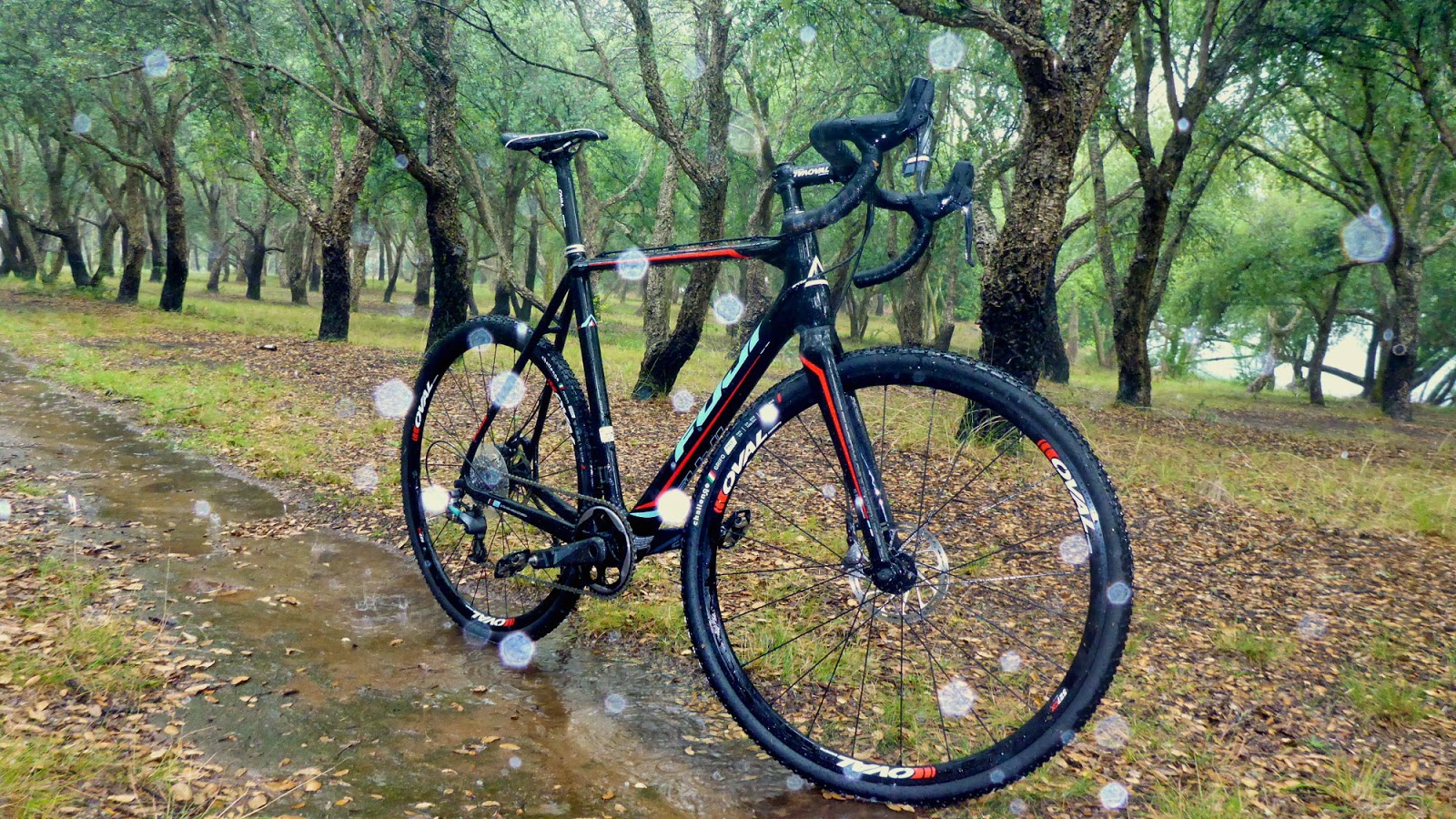 altamira cx 1.3