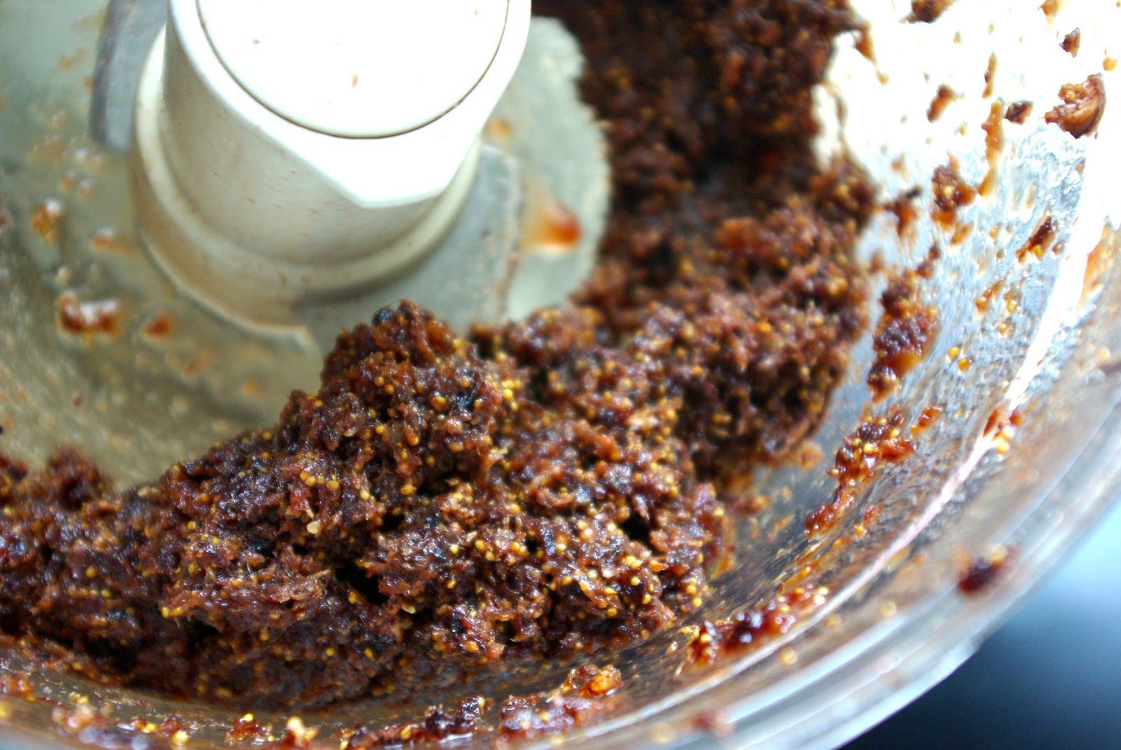 Sciuridae Fig Newtons (Primal/Paleo)