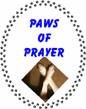 Paws Of Prayer