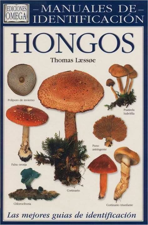 Identificacion de hongos