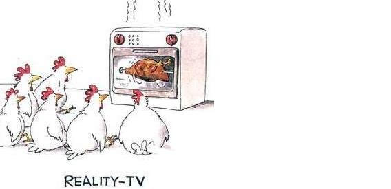 reality-tv-chicken.jpg