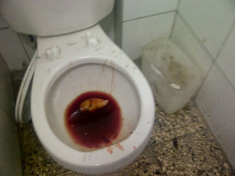 EMBARAZO TRES MES embarazo tres mes: