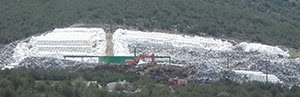 Η όσφρηση των παπαγάλων