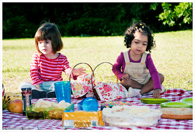 Pic-nic - cesta pic-nic - toalha pic-nic - lanche pic-nic Pic-nic - cesta pic-nic - toalha pic-nic - lanche pic-nic