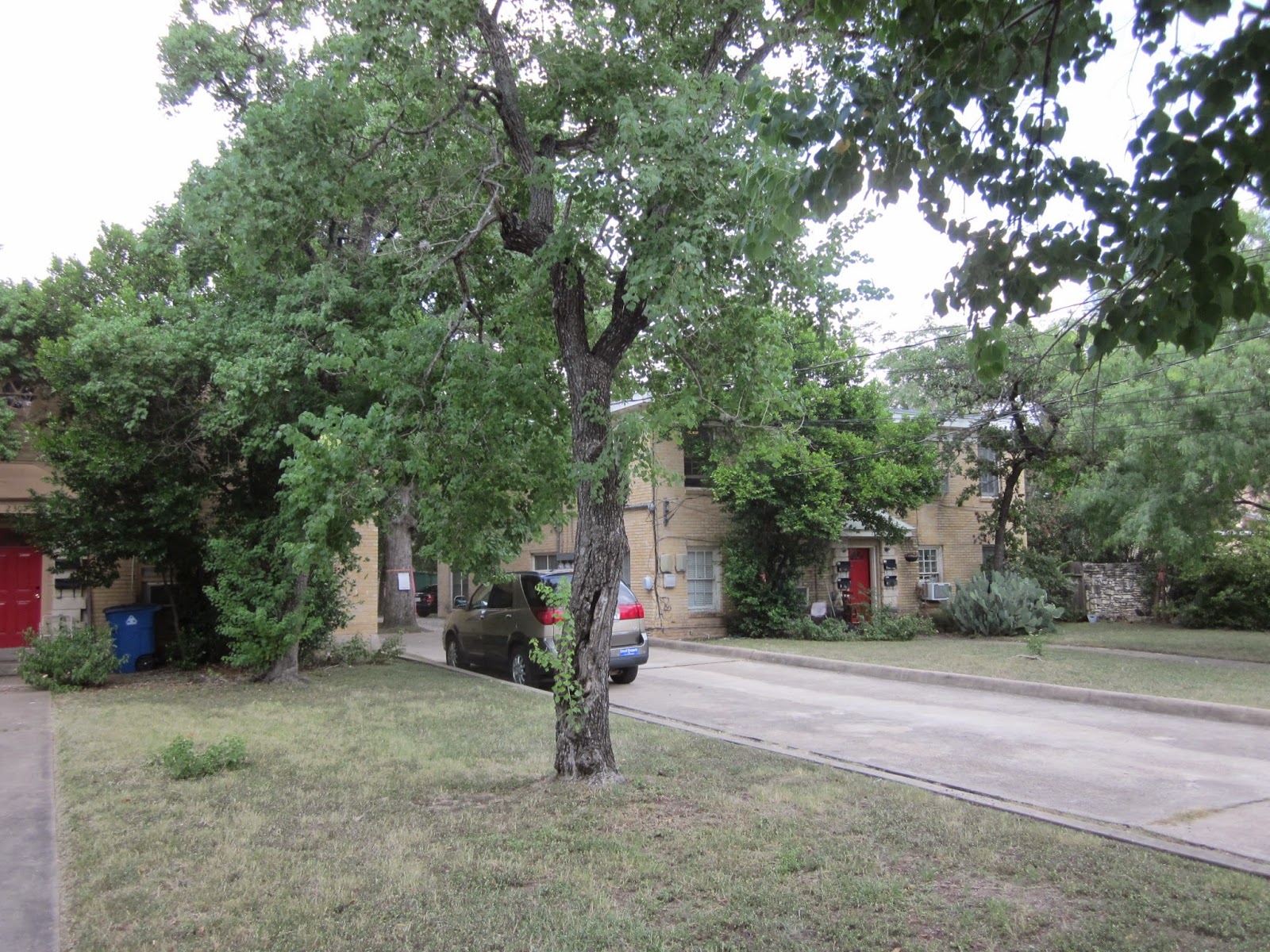 Enfield Gardens January 2015