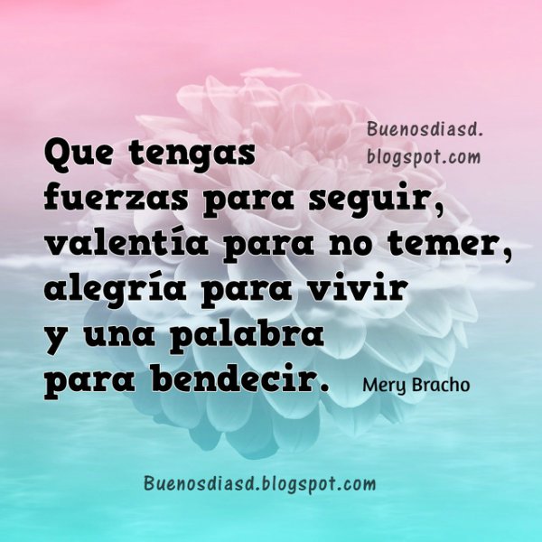 Imagen relacionada