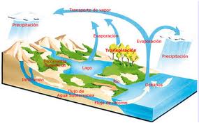 Ciclo del agua.