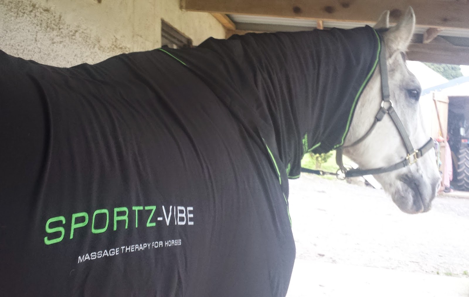 Leonard Coombe Blog Horseware Sportz Vibe Horse Massage Rug