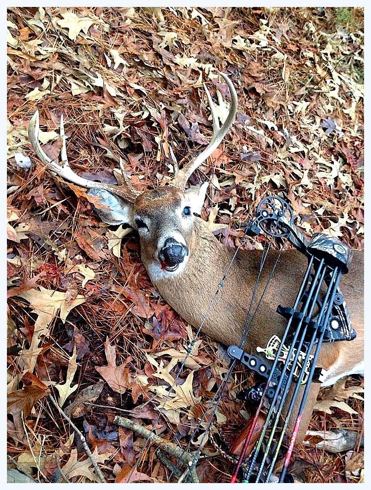 Hook, Line, and Sinker Last Virginia Deer Hunt...Ever