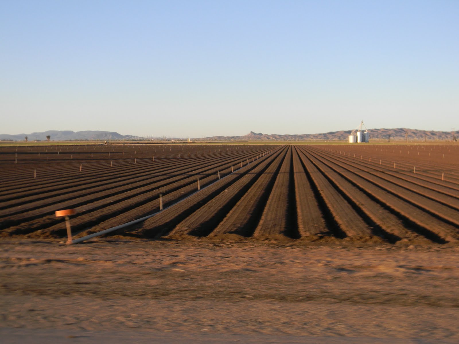 Brown's Great Adventure Yuma's Agriculture