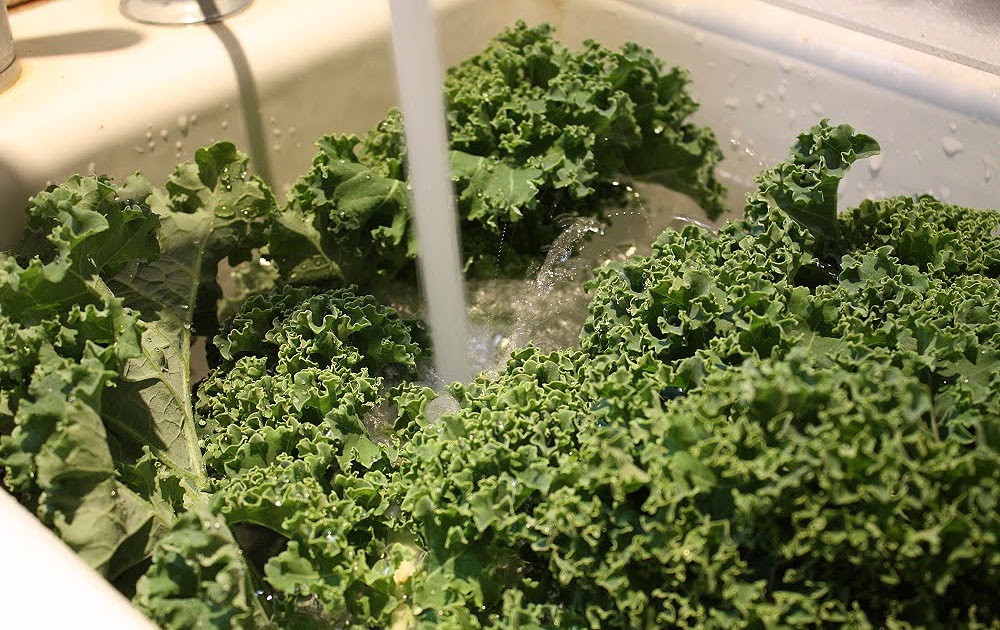 Fanatic Cook How To Cook Kale Perfectly