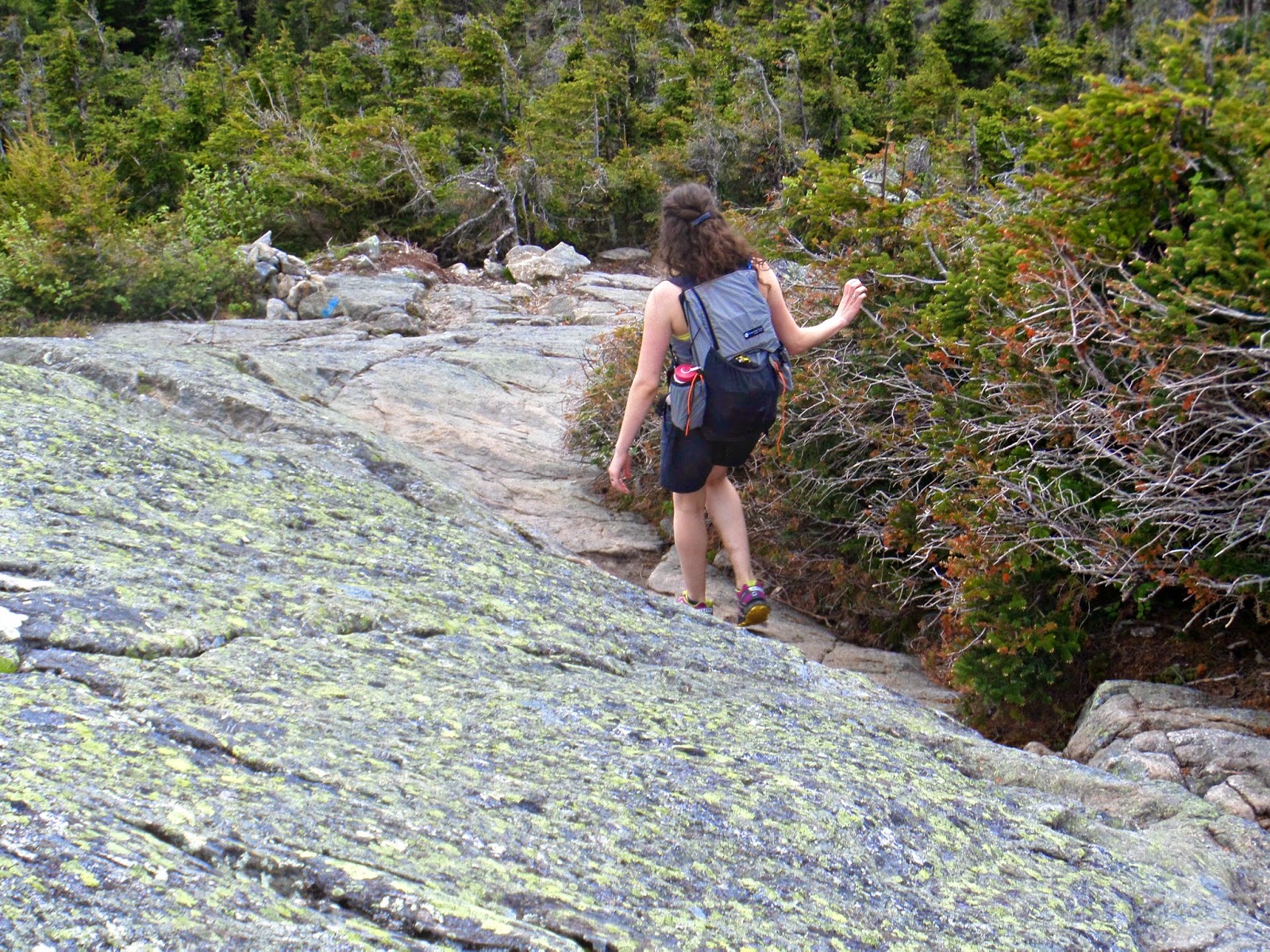 Mount Jackson (Spring) Trail to Summit